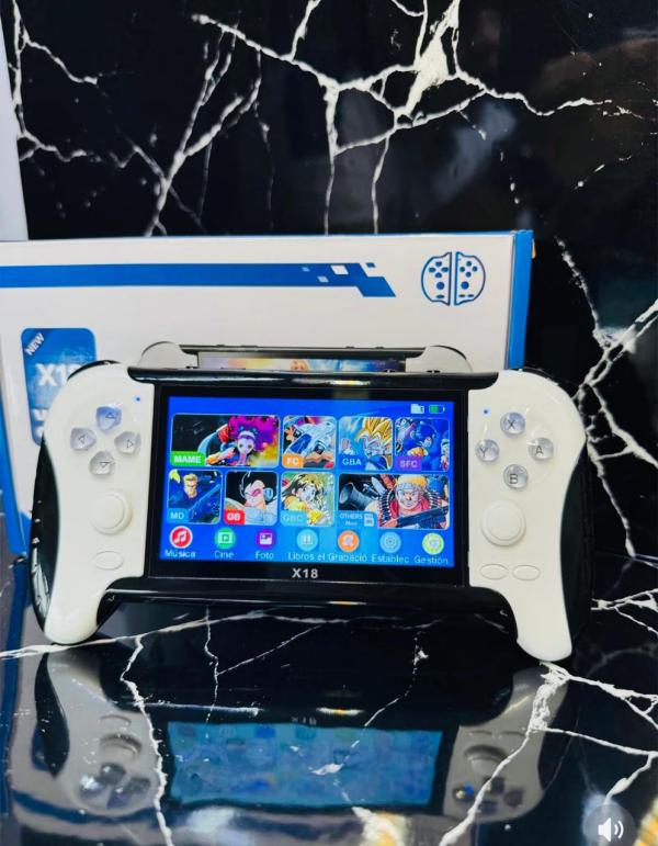 CONSOLA D18 PORTATIL Y PANTALLA