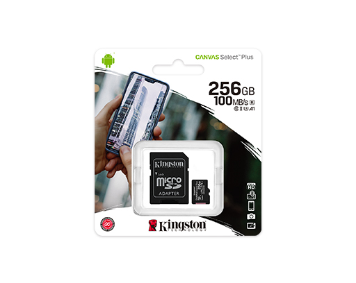 TARJETA DE MEMORIA FLASH (ADAPTADOR MICROSDXC A SD INCLUIDO) - 256 GB