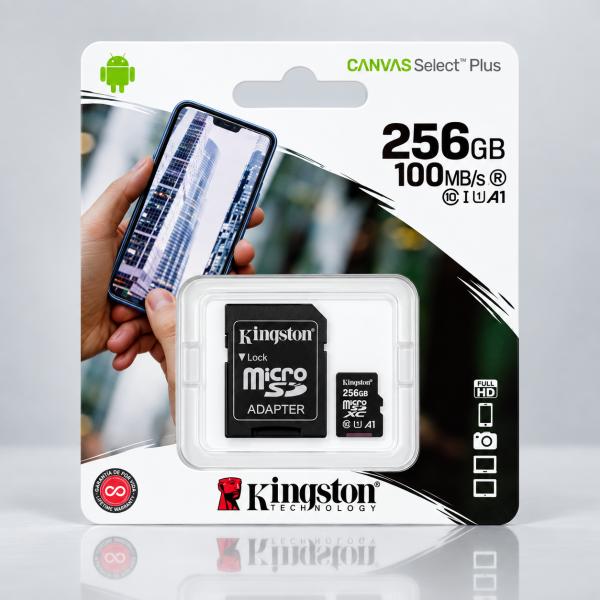 TARJETA DE MEMORIA FLASH (ADAPTADOR MICROSDXC A SD INCLUIDO) - 256 GB