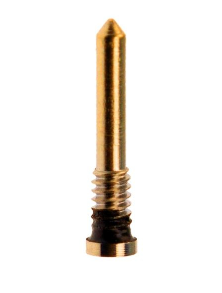 TORNILLO INFERIOR PARA IPHONE X A 16 PRO MAX (ORO)